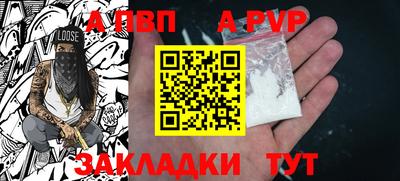 гашик Новозыбков