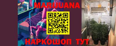 гашик Новозыбков