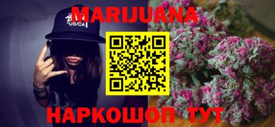 гашик Новозыбков