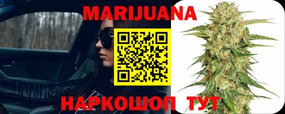 гашик Новозыбков