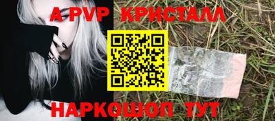 гашик Новозыбков