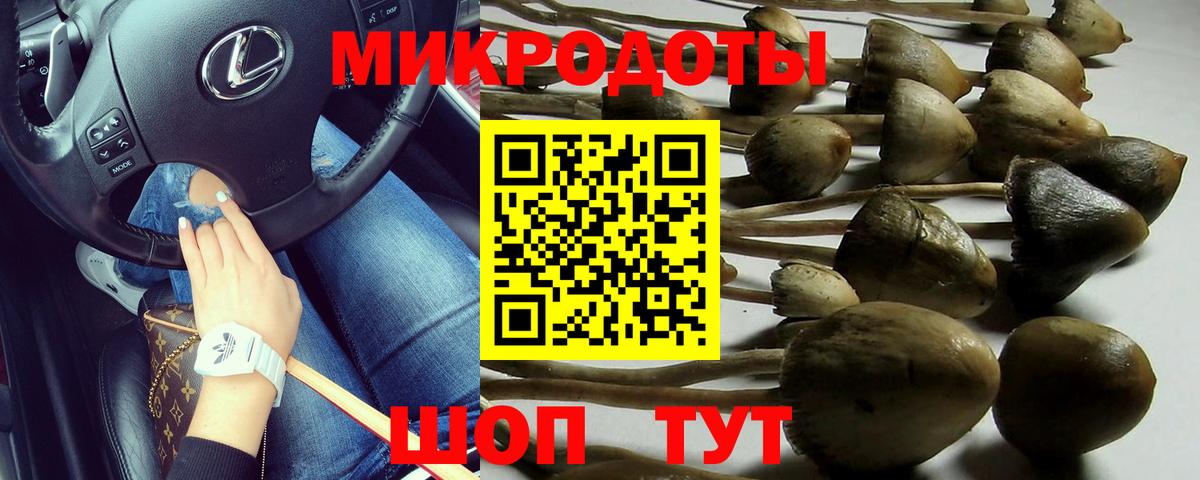 Галлюциногенные грибы GOLDEN TEACHER  Вход с VPN  Саров 