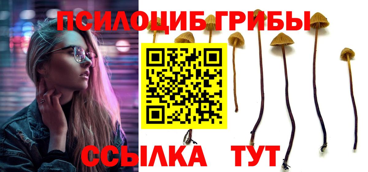 Галлюциногенные грибы мицелий Саров